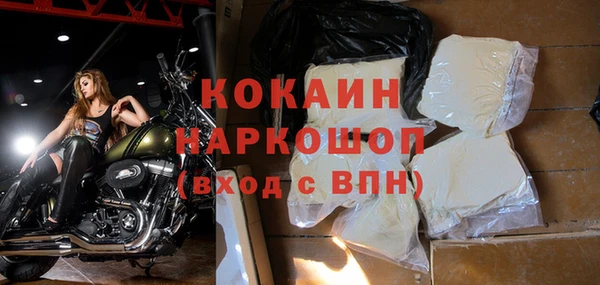 гидра Кодинск
