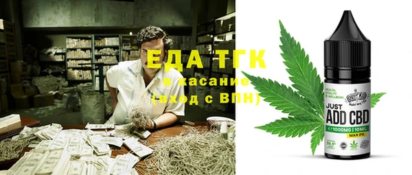 твердый Протвино