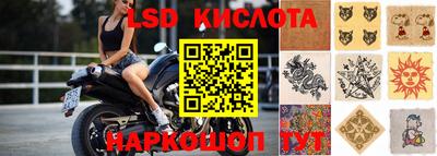 ПСИЛОЦИБИНОВЫЕ ГРИБЫ Кандалакша