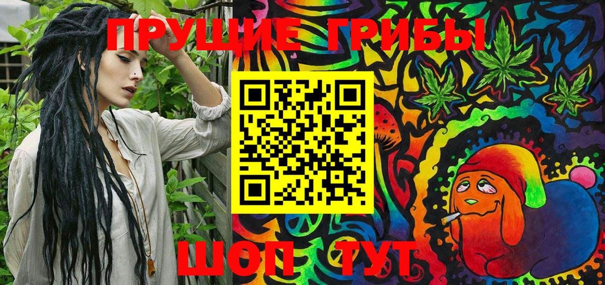 Галлюциногенные грибы Psilocybine cubensis Кубинка