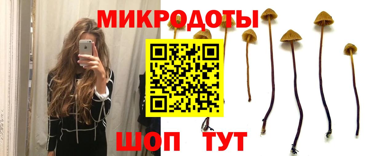 закладки  Галлюциногенные грибы MAGIC MUSHROOMS  Вход с VPN  Кубинка 