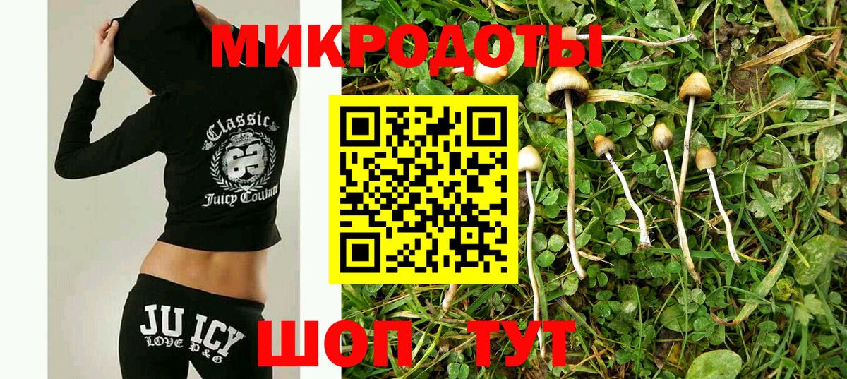 Галлюциногенные грибы Psilocybe  Галлюциногенные грибы мицелий  Кубинка 
